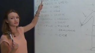 Partes del cuerpo en Rumano  Cursos Rumano [upl. by Delahk]