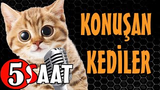 Konuşan Kediler 5 Saat  Sinema Tadında Komik Kediler  PATİ TV [upl. by Even]