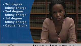 Felony and Misdemeanor Criminal Charges [upl. by Cristen794]