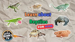 Learn About Reptiles Turtles Snakes Lizards and Crocodiles for Kids Fun Facts and Discoveries [upl. by Allenrad]