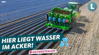 Technik gegen Dürre So rettet Landwirt seine Ernte  WDR Lokalzeit LandSchafft [upl. by Nnylarak]