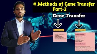 Methods of gene transfer Part2  Liposome mediated gene Transfer  BSc 2nd year Zoology 4rth Sem [upl. by Naesad]