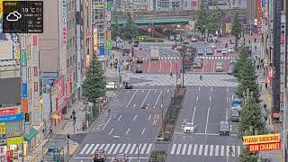 Japan Shinjuku Tokyo  Kabukicho Crossing 4K Cam 🔴 [upl. by Aromat]