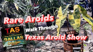 Texas Aroid Show  Rare Aroids for your Plant Collection [upl. by Enimajneb740]