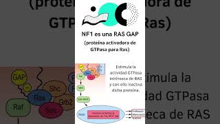 Neurofibromatosis 1 hospital ciencia curiosidadescientificas [upl. by Gerk]