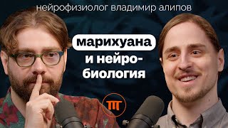 КаннабисКонопляМарихуана вокруг чего столько споров Нейробиолог Владимир Алипов [upl. by Niddala]