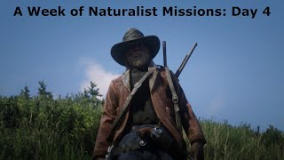 Red Dead 2  Naturalist Day 4 [upl. by Dahsar650]