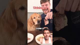 🐶dog food steak dogfood foodie mrbeast trending shorts video🐕🤩 [upl. by Emia]