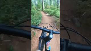 Springboard at alsea falls oregon mtb mountainbike shorts gopro bike mtbking mtblife [upl. by Nauqet]