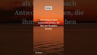 music zitate liebe shortvideo sprüche facts fakten beziehung shorts short [upl. by Mcclure]