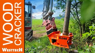 Holzschneidkopf Woodcracker CL260 – kompakt und kräftig [upl. by Earehs]