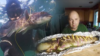 Tautog spearfishing amp how to cook fish Tautog Underwater hunters notes  tautog catch and cook [upl. by Alvarez203]