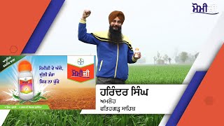 Best Weedicide for Phalaris Minor Momiji Bayer  Bayer Crop Science India [upl. by Roee]