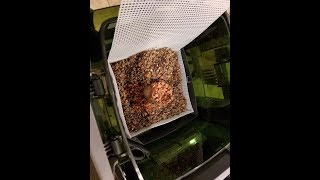 How to AFS BCB in canister filter the Lukeway  DIY way to get rid of nitrates [upl. by Kcirddehs]