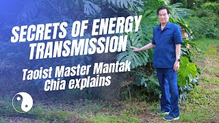 How is energy transmission online even possible Tao Master Mantak Chia explains his techniques☯️ [upl. by Yenots]