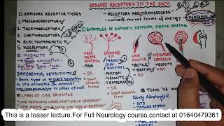 Sensory Receptors  Neurophysiology  NEUROLOGY  Bangla [upl. by Hackney]