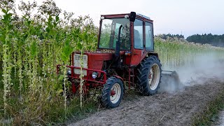 BESTIA Z ROZTOCZA  GLEBOGRYZARKOWANIE TYTONIU 2024 [upl. by Lamrej]