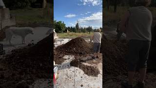 Preparing a biodynamic compost pile organicfarming biodynamicfarming [upl. by Yellas832]