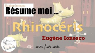 Rhinocéros  Eugène Ionesco  Résumé acte par acte [upl. by Jarrett]