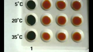 How Temperature affects enzyme activity [upl. by Deina121]