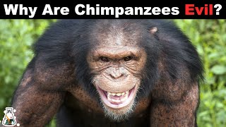 The Terrifying Truth About Chimpanzees [upl. by Atirma]