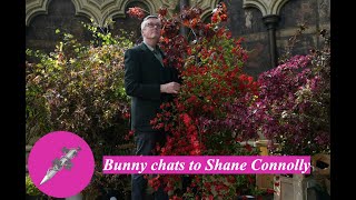 Bunny chats to Shane Connolly [upl. by Nessnaj]