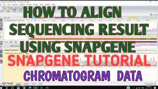 Align sequencing result using snapgene [upl. by Lerner568]