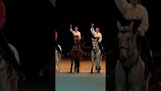 Voltige by Cavalflip  Equestrian Night Shows [upl. by Markowitz]