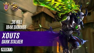 36 KILL 184K DAMAGE xouts ANDROXUS PALADINS COMPETITIVE GRANDMASTER DARK STALKER [upl. by Nosidda]