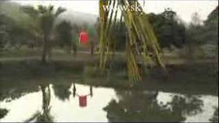 Orange Flying Chinese Lantern released in Thai countryside [upl. by Bautista]