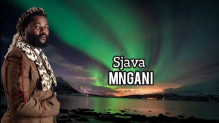 Sjava  Mngani  lyrics [upl. by Ilatfan338]