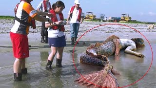 Top 10 Real Mermaids Caught On Camera [upl. by Argyres971]