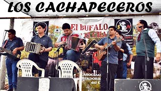 LOS CACHAPECEROS  FESTIVAL DEL BUFALO 2018 [upl. by Arbe]