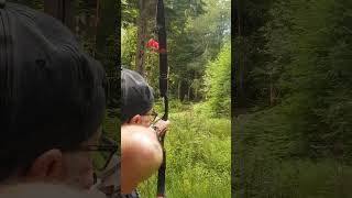 Bodnik Bowhunter Challenge UK  Extreme Shot Competition  Barebow Class [upl. by Amles235]