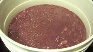 How To Make Concord Grape Wine Step by Step [upl. by Inami666]