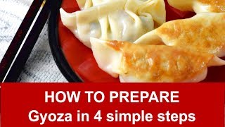 How to make Gyoza 餃子ぎょうざ in 4 simple steps [upl. by Lud]