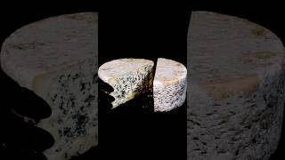 The magic of Penicillium roqueforti in blue cheese Video credit Xerigots [upl. by Aivonas297]