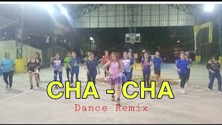 CHA CHA  Carmelita Remix  Victor Wood  Dj john paul remix  Hyper Ritch amp Zumbangers Ladies [upl. by Enahs]