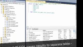 Cleanse Standardize and Validate SQL Data in SSIS [upl. by Solotsopa844]