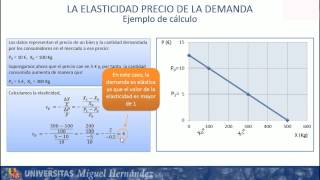 TEMA0024 TEORIA Las elasticidades umh1184 201314 [upl. by Nork]