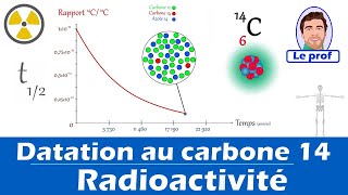 Principe de la datation au carbone 14 🦴  Lycée 1ère Enseignement Scientifique [upl. by Schoenberg]