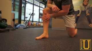 Tibialis Posterior  Kinetic U Mobility Series [upl. by Ettennil829]