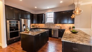 New Custom Home in Naperville IL  David Weekley Homes [upl. by Airtened]