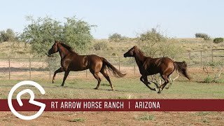 Arizona ranches for sale  RT Arrow Horse Ranch  Mason amp Morse Ranch Company [upl. by Irabaj]