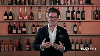 Banfi Chianti amp Chianti Classico Training Video [upl. by Akihsar86]