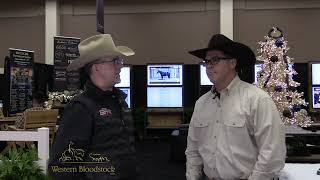 WESTERN BLOODSTOCK 2023 NCHA FUTURITY SALE PREVIEW [upl. by Rollo]