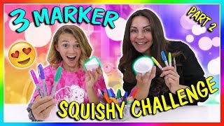 3 MARKER SQUISHY CHALLENGE  PASS OR FAIL  We Are The Davises [upl. by Itraa]