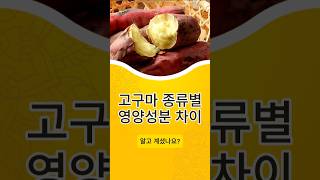 고구마 종류별 영양 분석 최고의 고구마는 [upl. by Leibarg]