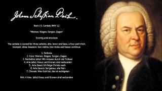 Bach JS Cantata BWV 12 [upl. by Ynner]