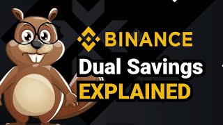 Binance Dual Savings Explained [upl. by Sterner302]